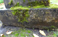 Little Cheverell - photo: 00231
