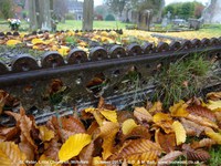 Little Cheverell - photo: 00232