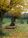 Little Cheverell - photo: 00233