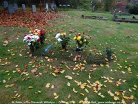 Little Cheverell - photo: 00246
