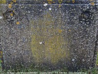 Little Cheverell - photo: 00253