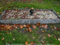 Little Cheverell - photo: 00266