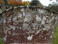 Little Cheverell - photo: 00277