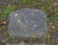 Little Cheverell - photo: 00282