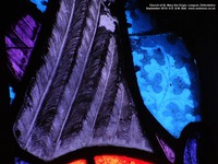 Longcot - photo: 00044