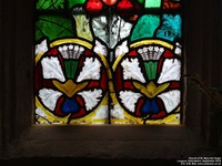 Longcot - photo: 00083