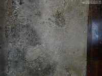 Longcot - photo: 00225