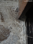 Longcot - photo: 00233
