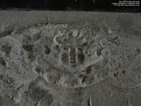Longcot - photo: 00248
