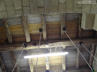 Longcot - photo: 00335