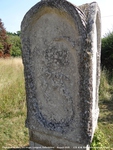 Longcot - photo: 00397
