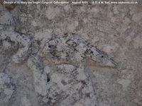 Longcot - photo: 00399