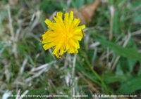 Longcot - photo: 00493