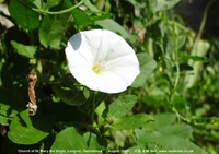 Longcot - photo: 00559
