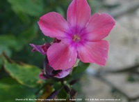 Longcot - photo: 00566