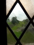 Lydiard Millicent - photo: 00114