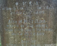 Lydiard Millicent - photo: 00221