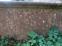 Lydiard Millicent - photo: 00227