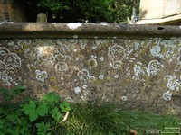 Lydiard Millicent - photo: 00228