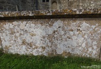 Lydiard Millicent - photo: 00257