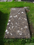 Lydiard Millicent - photo: 00258