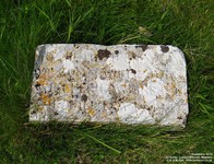 Lydiard Millicent - photo: 00261