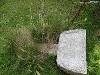 Lydiard Millicent - photo: 00279