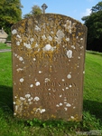 Lydiard Millicent - photo: 00286