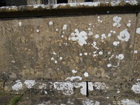 Lydiard Millicent - photo: 00290