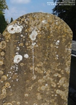 Lydiard Millicent - photo: 00301