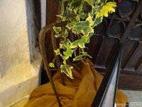 Lydiard Millicent - photo: 00371