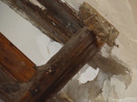 Lydiard Millicent - photo: 00547