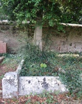 Lydiard Millicent - photo: 00010