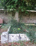 Lydiard Millicent - photo: 00011