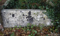 Lydiard Millicent - photo: 00012