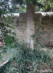 Lydiard Millicent - photo: 00013