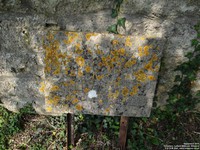 Lydiard Millicent - photo: 00035