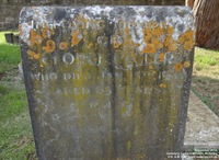 Lydiard Millicent - photo: 00056