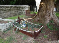 Lydiard Millicent - photo: 00139
