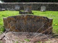 Lydiard Millicent - photo: 00183