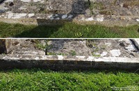 Lydiard Millicent - photo: 00194