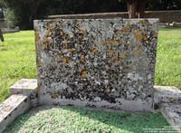 Lydiard Millicent - photo: 00200