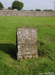 Lydiard Millicent - photo: 00210