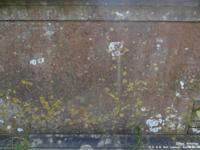 Latton - photo: 0092