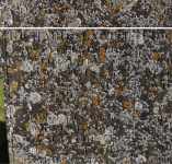 Latton - photo: 0113