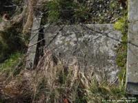 Latton - photo: 0139