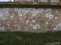 Latton - photo: 0195