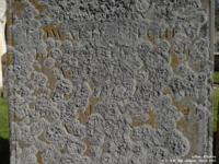 Latton - photo: 0248
