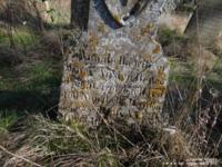 Latton - photo: 0289