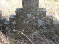 Latton - photo: 0302